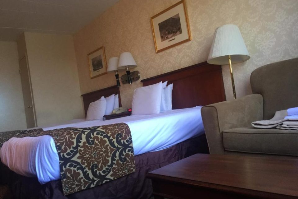 Deluxe Double or Twin Room